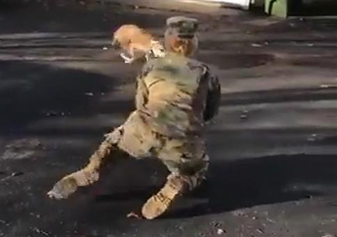 Verwirrter Hund: Geruch stimmt, aber sieht komisch aus