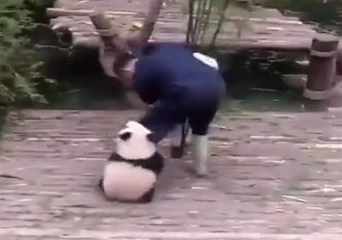 Kleiner anhänglicher Panda