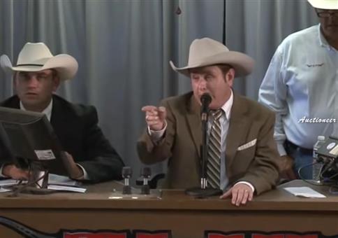 Auktionator Beats Compilation