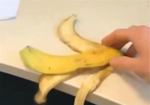 Wohin mit der alten Bananenschale im Büro?