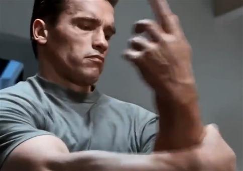Der Terminator zeigt euch seine Meinung
