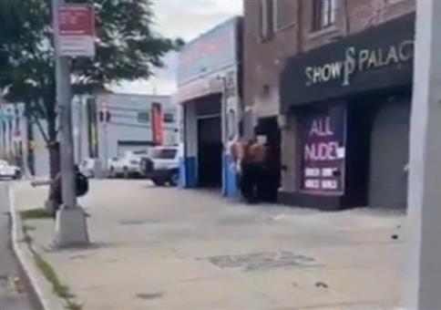 Jetzt werden schon die Bordelle geplündert