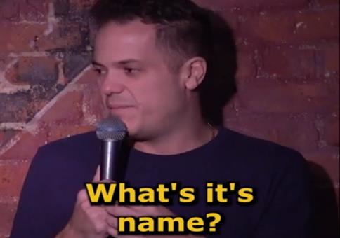 Ein Hund namens Sarah