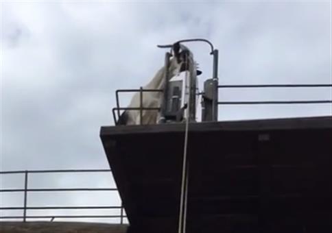 Clevere Ziege bedient einen Flaschenzug