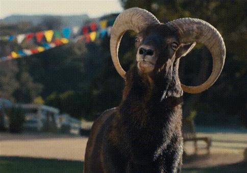 Hornoxe.com - Gifdump #278 - Animierter Picdump