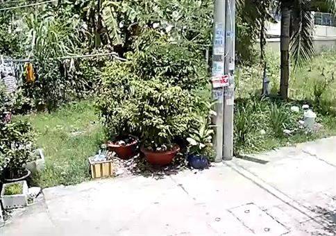 Das spektakuläre Ende einer Verfolgungsjagd