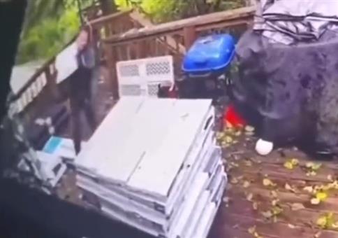 Doch zu viel für die Terrasse