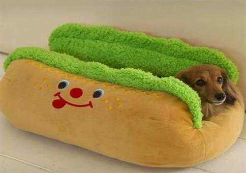 Echter Hot Dog