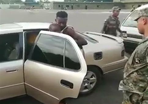 Die stehlen jedem Clownauto die Show