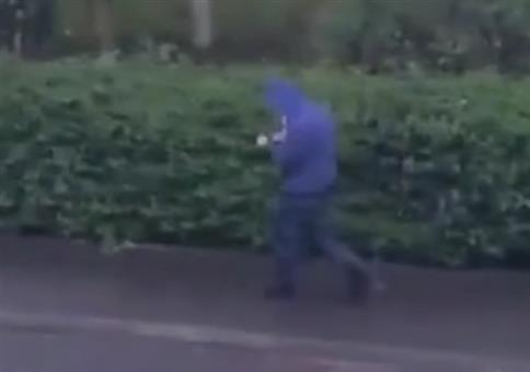 Wenn du nen Vogel hast und der dich ärgert