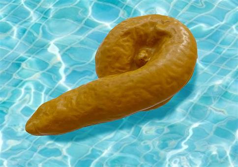 💩 Da schwimmt Scheiße im Pool!