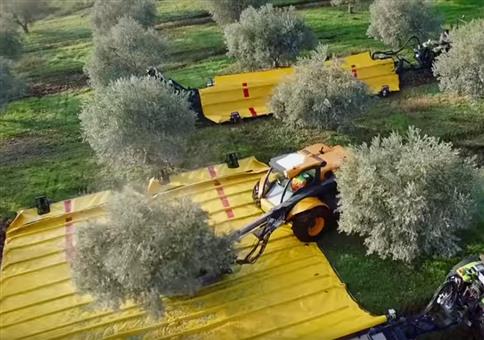 Moderne Technik bei der Olivenernte