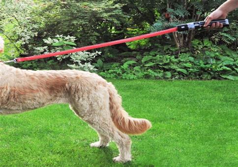 Die coolste Hundeleine!