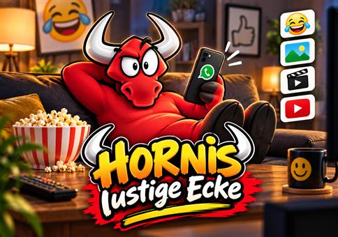 Hornis WhatApp Kanal lebt wieder!!!!