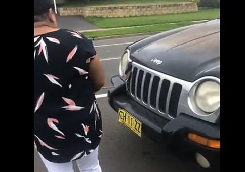 Den Tod kannst du nicht überlisten - Piepmatz befreien