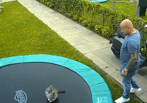 Überraschung auf dem Trampolin