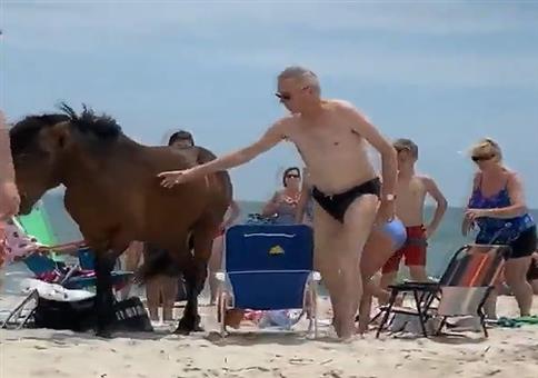 Pferdetritt voll auf die Zwölf