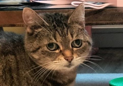 Hornoxe.com - Picdump #966