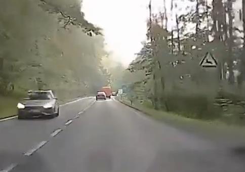 Vorsicht Wildwechsel