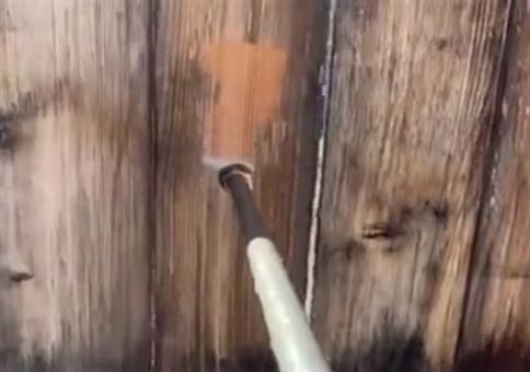 Heute reinige ich mal meinen Gartenzaun