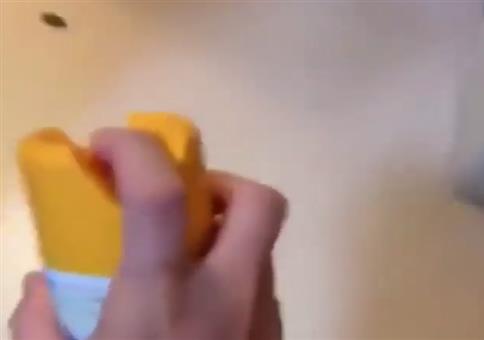 Schabe vs Insektenspray