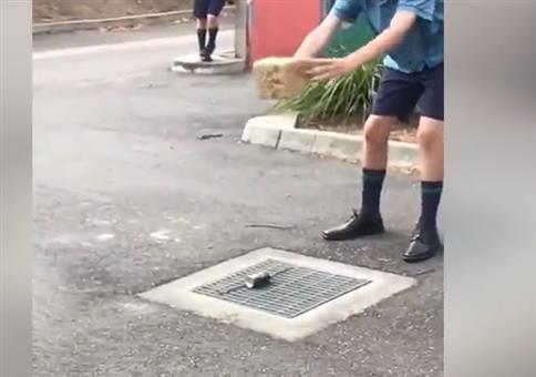 Super Trick: Ziegel auf Dose