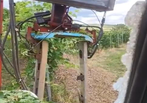 Da ham wa wieder mal Glück gehabt!