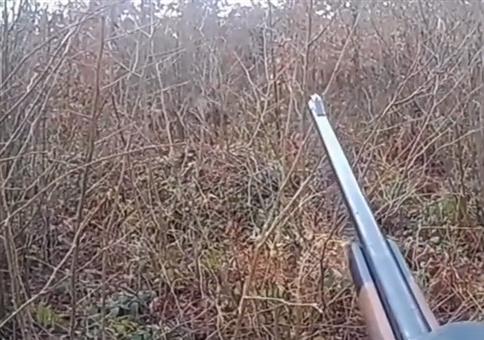 Neulich bei der Treibjagd