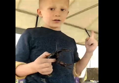 Wenn dich der Krebs zwickt