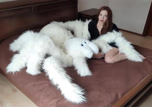 Da ist eine Spinne in meinem Bett!