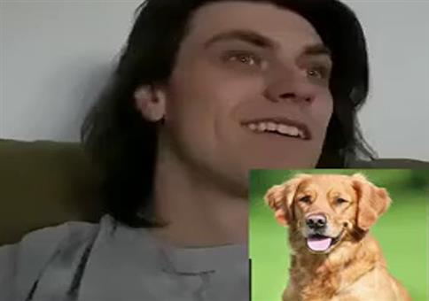 Hunderassen VS Einbrecher