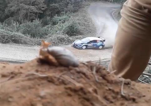 Irgendwann, denkt die Schnecke... irgendwann!