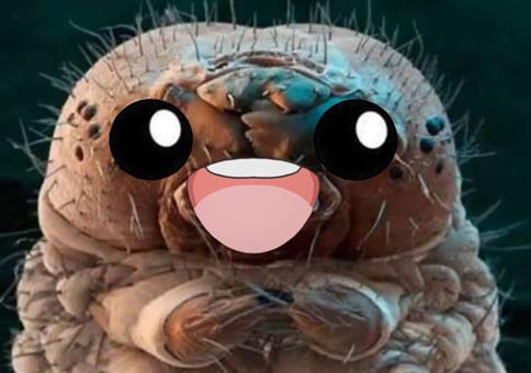 Hornoxe.com - Picdump #972