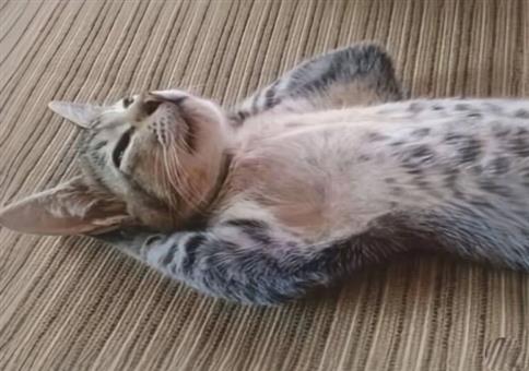 Hornoxe.com - Picdump #951