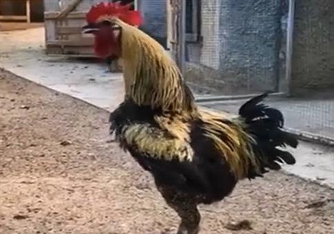 Jetzt doch mal Luft!