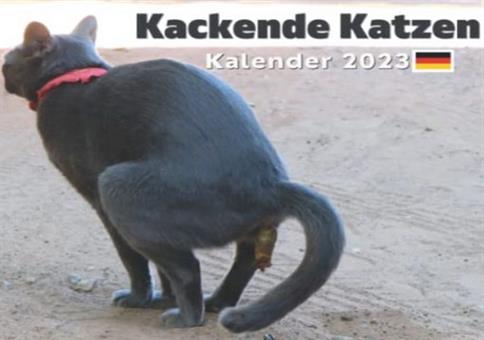 Kackende Katzen 2023