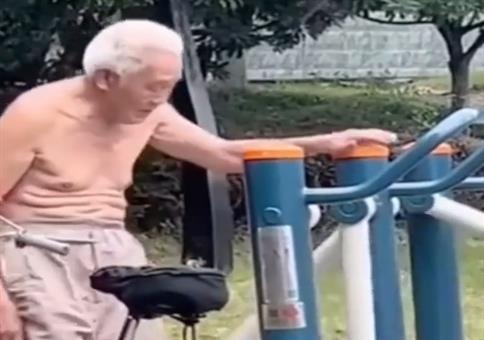 Training beim Gassigehen