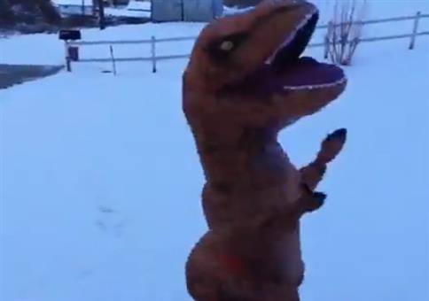 Furzspray für den Dino