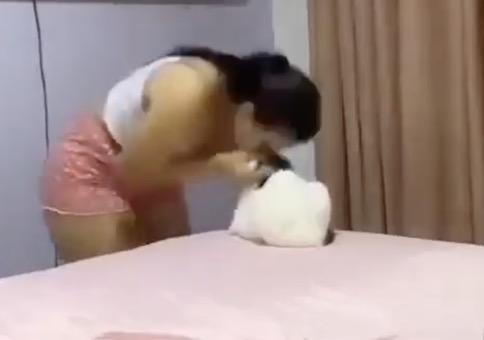 Bett machen mit Katze