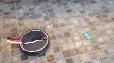 BraGer-WM2014 BraGer-WM2014