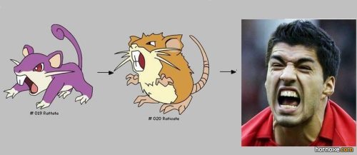 Luis_Suarez_Bite_Meme_16