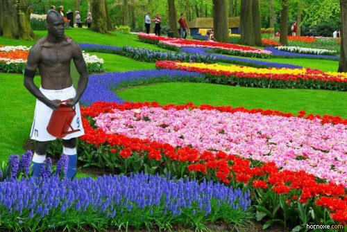 hornoxe.com_mario_balotelli_memes_017