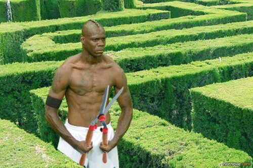 hornoxe.com_mario_balotelli_memes_033