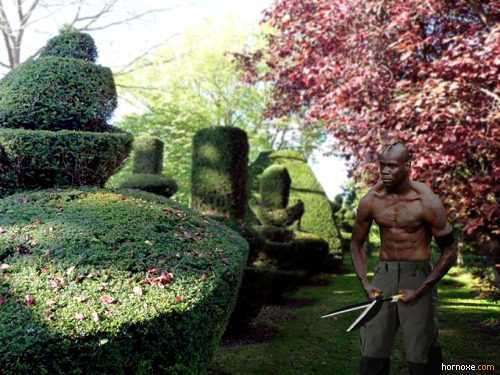 hornoxe.com_mario_balotelli_memes_036