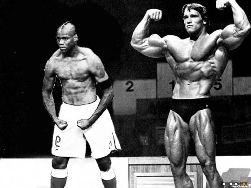 hornoxe.com_mario_balotelli_memes_070