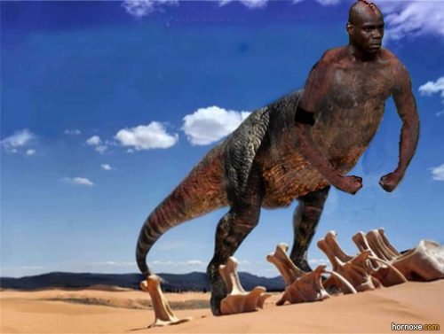 hornoxe.com_mario_balotelli_memes_092