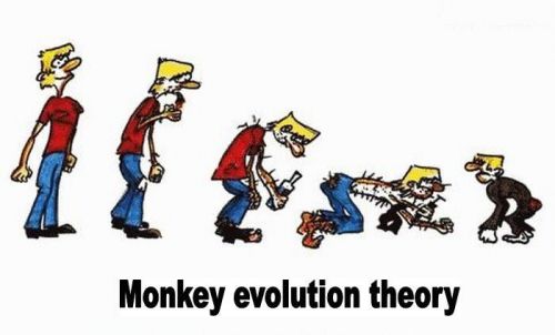 evolution_18.jpg