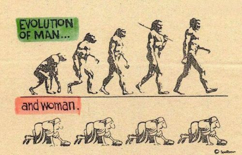 evolution_25.jpg