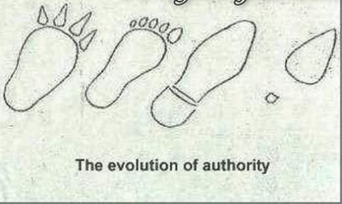 evolution_28.jpg