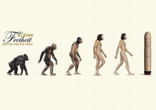 evolution_34.jpg